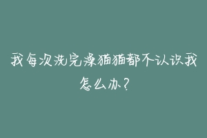 我每次洗完澡猫猫都不认识我怎么办？