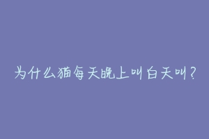 为什么猫每天晚上叫白天叫？