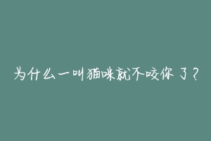 为什么一叫猫咪就不咬你了？