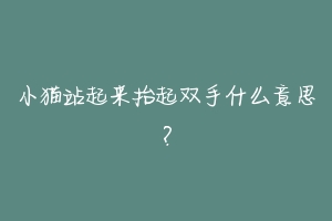 小猫站起来抬起双手什么意思？