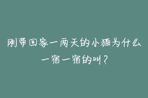 刚带回家一两天的小猫为什么一宿一宿的叫？