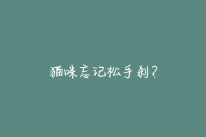 猫咪忘记松手刹？