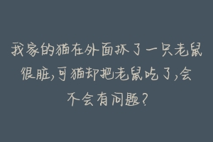 我家的猫在外面抓了一只老鼠很脏,可猫却把老鼠吃了,会不会有问题？