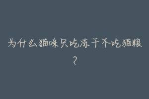 为什么猫咪只吃冻干不吃猫粮？