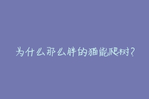 为什么那么胖的猫能爬树？