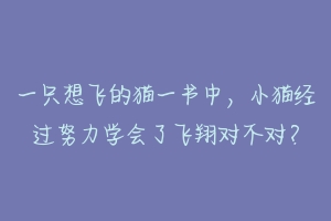 一只想飞的猫一书中，小猫经过努力学会了飞翔对不对？