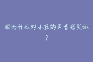 猫为什么对小孩的声音感兴趣？