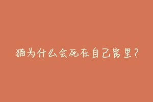 猫为什么会死在自己窝里？