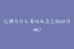 公猫为什么要咬死自己的幼仔啊？