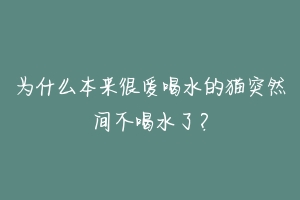 为什么本来很爱喝水的猫突然间不喝水了？