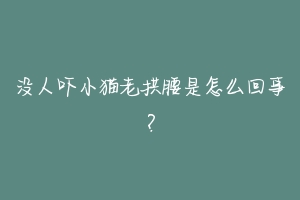 没人吓小猫老拱腰是怎么回事？