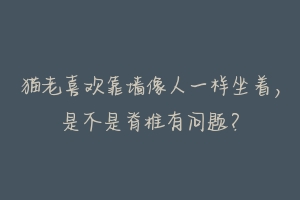 猫老喜欢靠墙像人一样坐着，是不是脊椎有问题？