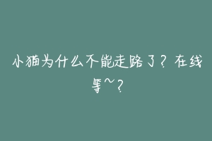 小猫为什么不能走路了？在线等~？