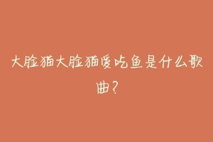 大脸猫大脸猫爱吃鱼是什么歌曲？