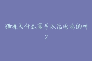 猫咪为什么闻手以后呜呜的叫？