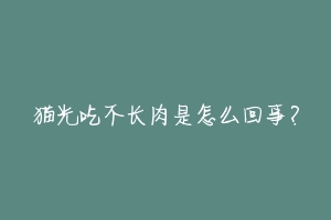 猫光吃不长肉是怎么回事？