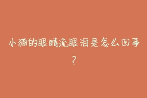 小猫的眼睛流眼泪是怎么回事？