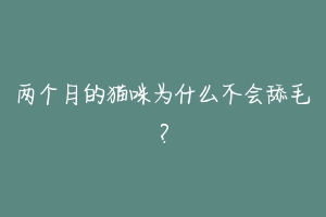 两个月的猫咪为什么不会舔毛？