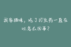 我家猫咪，吃了打虫药一直在吐怎么回事？