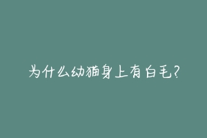 为什么幼猫身上有白毛？