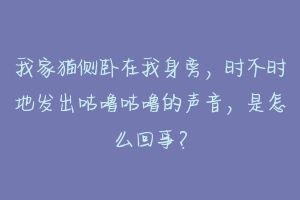 我家猫侧卧在我身旁，时不时地发出咕噜咕噜的声音，是怎么回事？