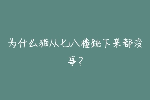 为什么猫从七八楼跳下来都没事？