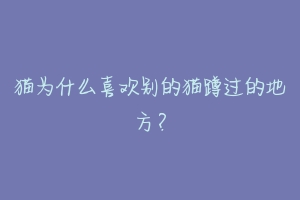 猫为什么喜欢别的猫蹲过的地方？