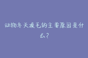 动物冬天换毛的主要原因是什么？