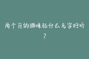 两个月的猫咪起什么名字好听？