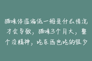 猫咪体温偏低一般是什么情况才会导致，猫咪3个月大，整个没精神，吃东西也吃的很少？