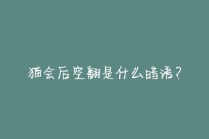 猫会后空翻是什么暗语？