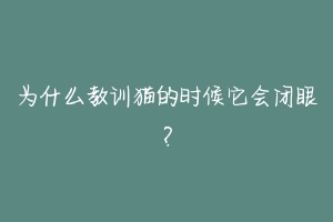 为什么教训猫的时候它会闭眼？