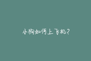 小狗如何上飞机？