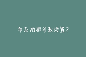 单反拍猫参数设置？