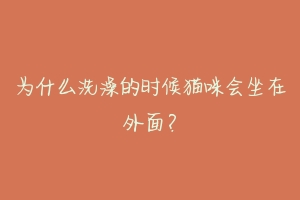 为什么洗澡的时候猫咪会坐在外面？