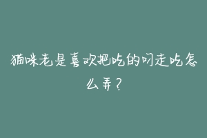 猫咪老是喜欢把吃的叼走吃怎么弄？