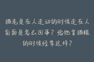 猫老是在人走动的时候走在人前面是怎么回事？给他拿猫粮的时候经常这样？