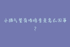 小猫气管有哮鸣音是怎么回事？