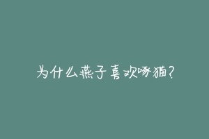 为什么燕子喜欢啄猫？