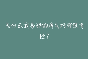 为什么我家猫的脾气好得很奇怪？