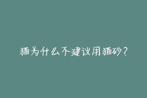 猫为什么不建议用猫砂？