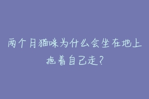 两个月猫咪为什么会坐在地上拖着自己走？