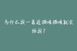 为什么我一靠近猫咪猫咪就会舔我？