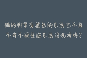 猫的脚掌有黑色的东西它不痛不痒不硬是脏东西没洗掉吗？