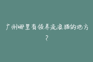 广州哪里有领养流浪猫的地方？