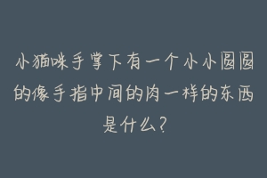 小猫咪手掌下有一个小小圆圆的像手指中间的肉一样的东西是什么？