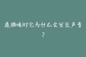 摸猫咪时它为什么会发出声音？