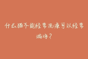 什么猫不能经常洗澡可以经常游泳？