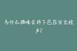 为什么猫咪会抖下巴且发出怪声?