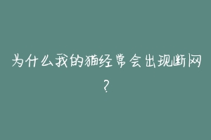 为什么我的猫经常会出现断网？